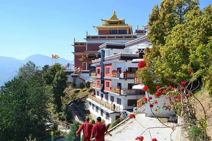 Phulchowki Day Hike: Summit Views & Birding Above Kathmandu photo 5