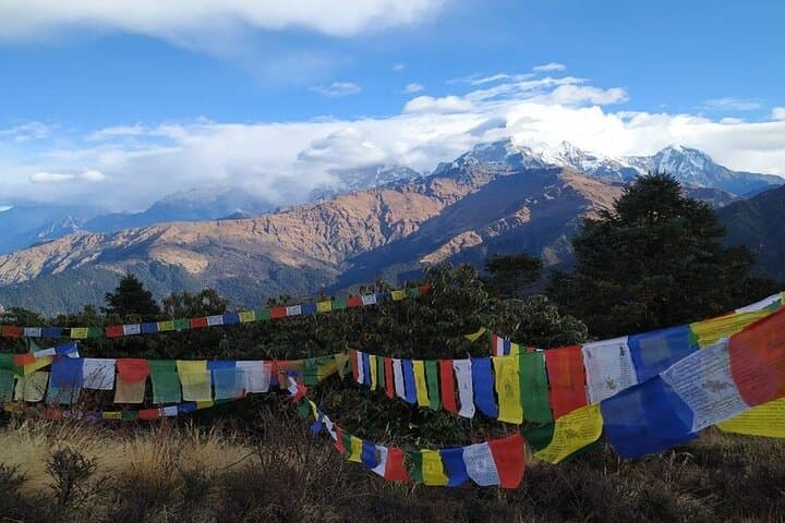 Phulchowki Day Hike: Summit Views & Birding Above Kathmandu photo 2