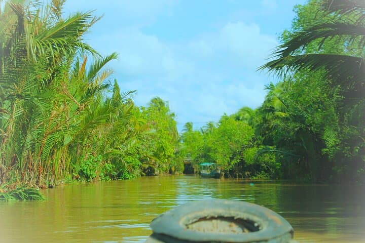 Mekong Delta Day Tour from Ho Chi Minh City — Boats, Villages & Vĩnh Tràng Pagoda photo 3