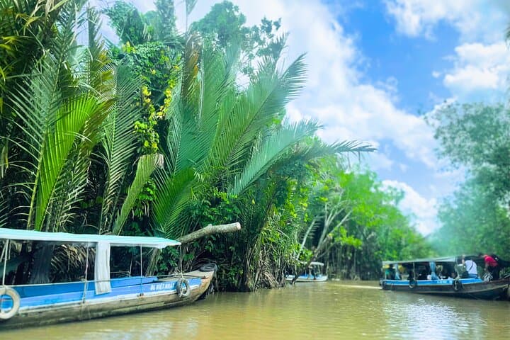 Mekong Delta Day Tour from Ho Chi Minh City — Boats, Villages & Vĩnh Tràng Pagoda