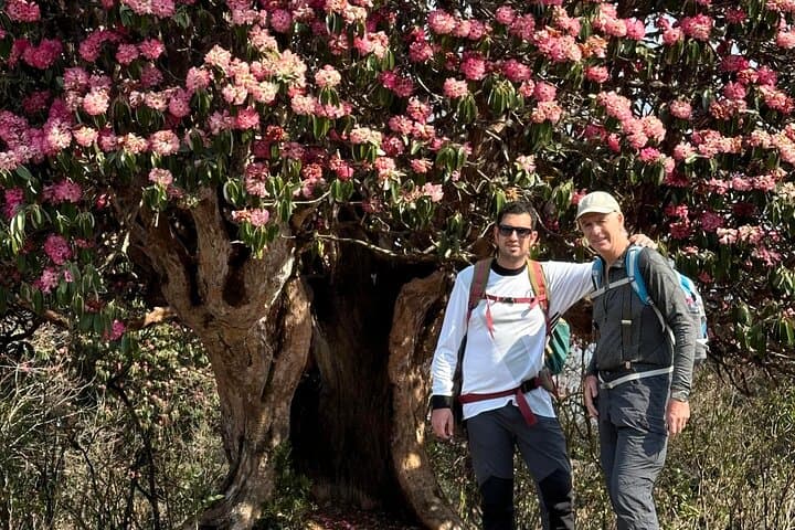 Annapurna Base Camp Trek: 14-Day Tea-House Route from Pokhara to 4,130m photo 2