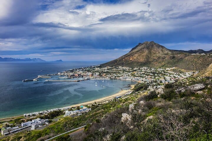 Face-to-Fin Shark Cage Diving in Cape Town's False Bay photo 5