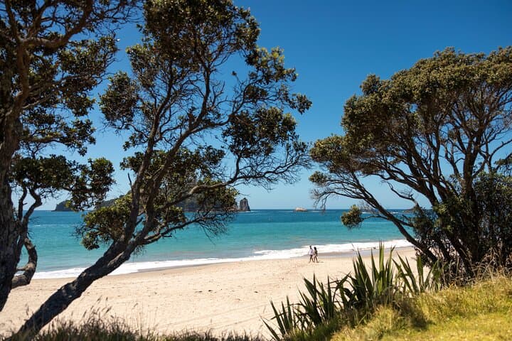 Cathedral Cove & Hot Water Beach Day Tour — Coromandel Coastal Walk and Geothermal Sands photo 3
