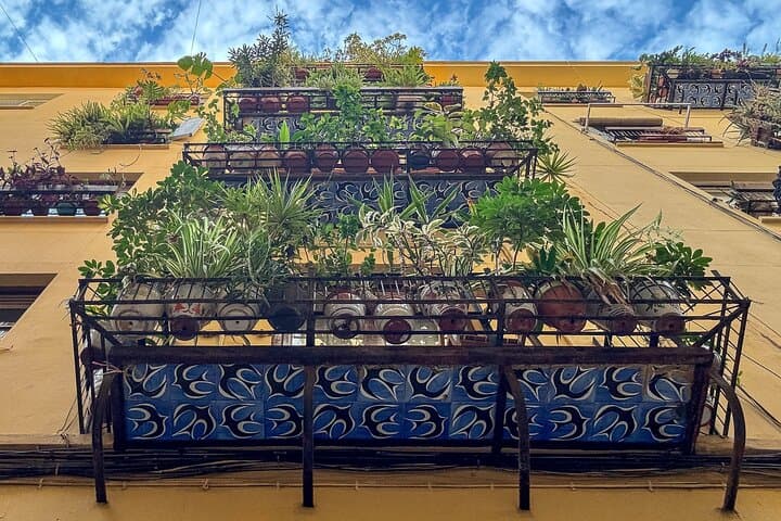 Hidden Gems Photo Walk: Private Valencia Photography Workshop photo 4