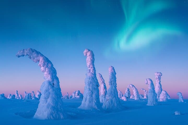Lapland Wilderness Adventure: Snowshoeing & Aurora Watching in Ylläs photo 3