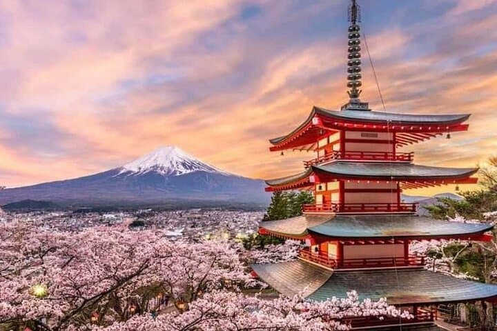 Private Fuji and Hakone Photography Tour from Tokyo — Lake Views, Pagodas & Volcanic Valleys