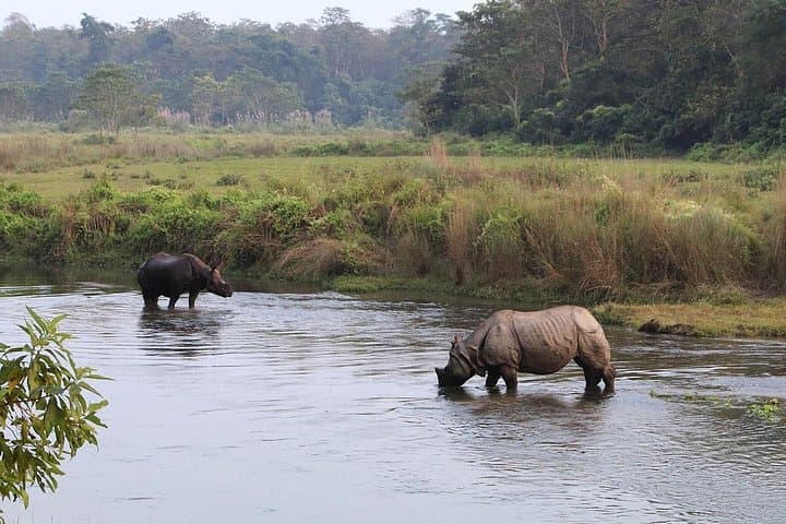 Chitwan National Park: 2-Night 3-Day Jungle Safari from Kathmandu photo 2