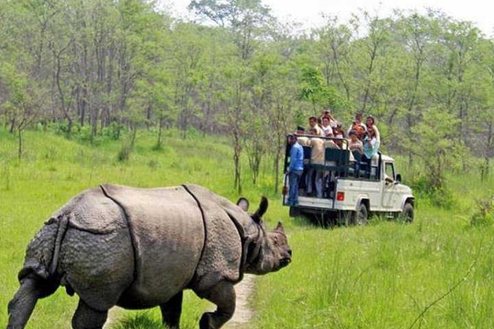 Chitwan National Park: 2-Night 3-Day Jungle Safari from Kathmandu photo 1