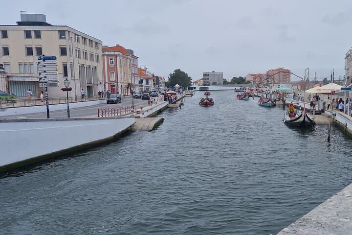 Porto to Arouca: Cross Bridge 516 and Hike the Passadiços do Paiva with Aveiro & Costa Nova photo 6