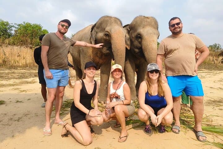 Half-Day Elephant Sanctuary Experience from Siem Reap: Mud Baths, Feeding & Conservation