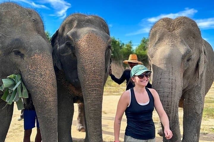 Half-Day Elephant Sanctuary Experience from Siem Reap: Mud Baths, Feeding & Conservation photo 3