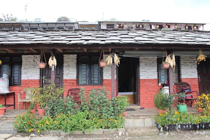 Australian Camp Camping and Dhampus Trek from Pokhara — 2-Day Guide photo 4
