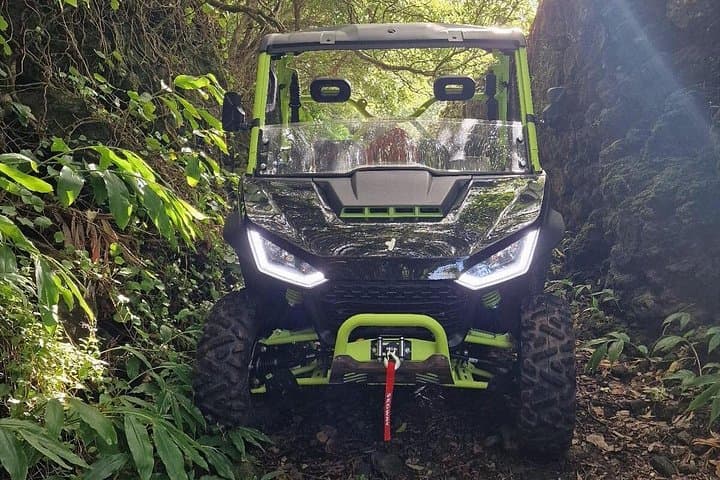Buggy Tour Through Pico Island's UNESCO Vineyards: 3-Hour Off‑Road Adventure photo 3