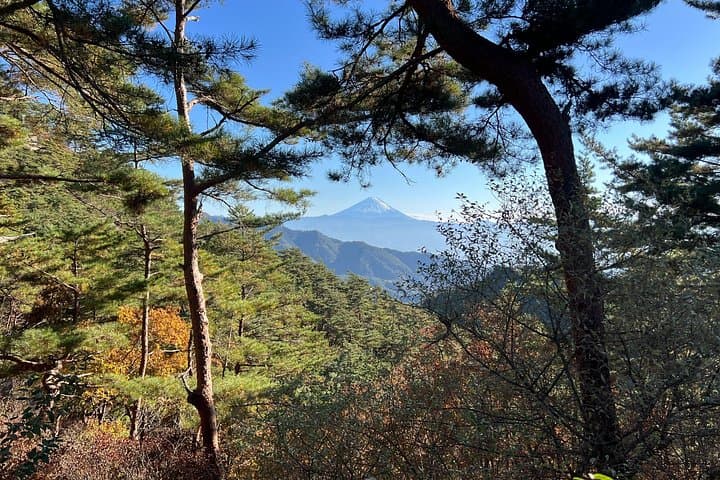 Shosenkyo Day Trip from Tokyo: Shosen Valley Gorge & Waterfalls photo 3