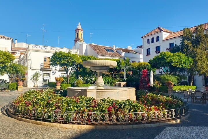 Gibraltar and Estepona: Private Day Trip from Marbella photo 3