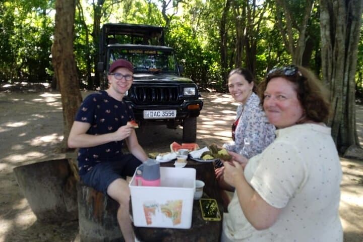 Half-Day Private Safari at Udawalawe National Park — Elephant Encounters & Birding photo 3