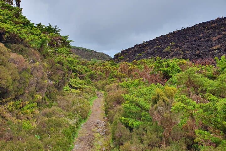 Mistérios Negros Hike & Biscoitos Natural Pools: Terceira Volcanic Coast Picnic photo 1