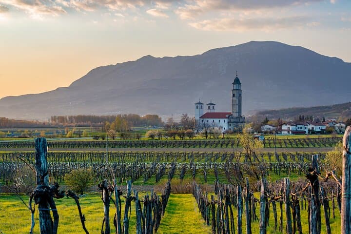 Slovenian Kras Day Tour from Bled: Lipica Horses, Skocjan Caves & Teran Tasting photo 3