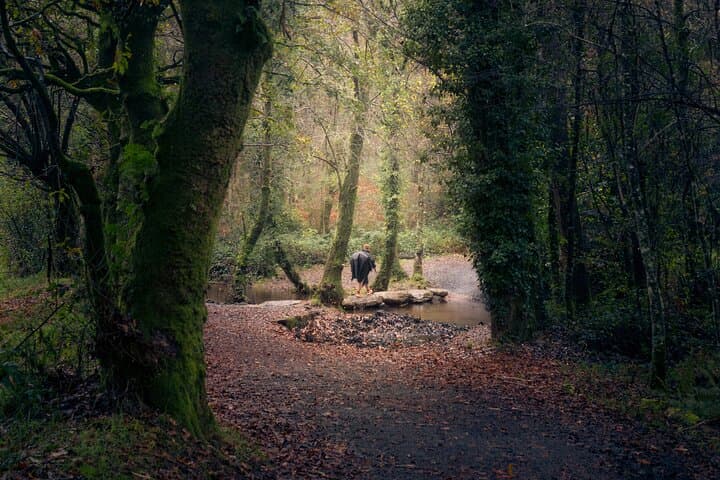 Premium Camino: Sarria to Santiago de Compostela in 7 Days photo 5