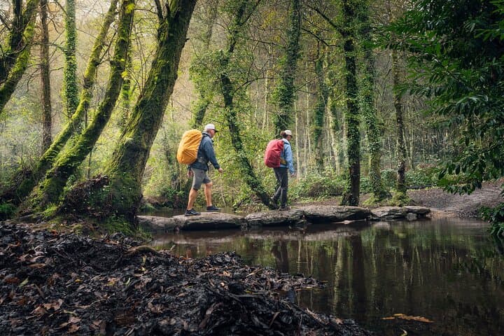 Premium Camino: Sarria to Santiago de Compostela in 7 Days photo 6