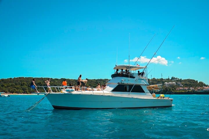 Half-Day Deep-Sea Fishing from Sosua: Marlin, Mahi and Offshore Action photo 1