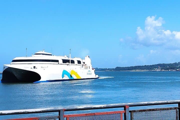 Explore Montevideo in a Day: Private Full-Day City Tour and Coastal Drive photo 3