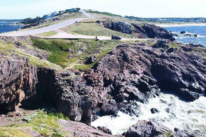 Private Full-Day Punta del Este Tour: Beaches, Casapueblo & Local Secrets photo 3