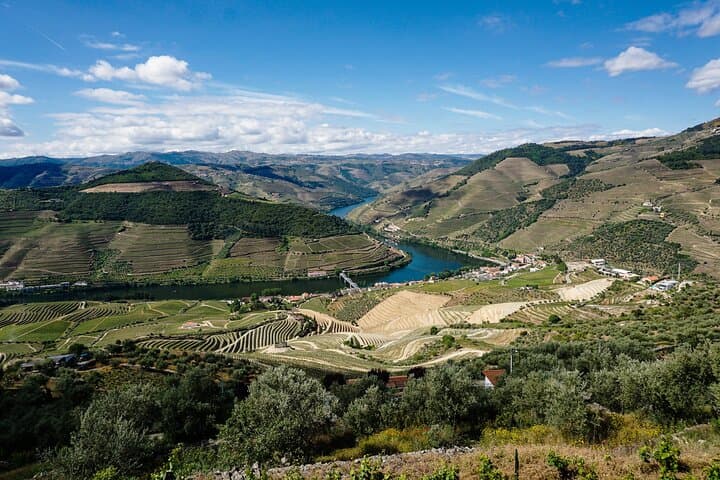 Private Douro Valley Tour: Wine, Rabelo Boat & Scenic Viewpoints photo 6