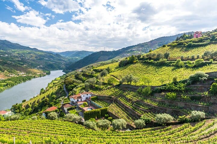 Private Douro Valley Tour: Wine, Rabelo Boat & Scenic Viewpoints photo 2