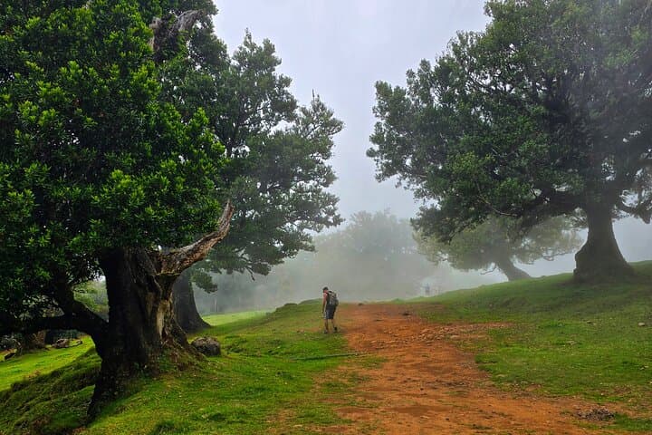 Sunrise at Pico do Arieiro: Levadas, 25 Fontes & Fanal Forest photo 4