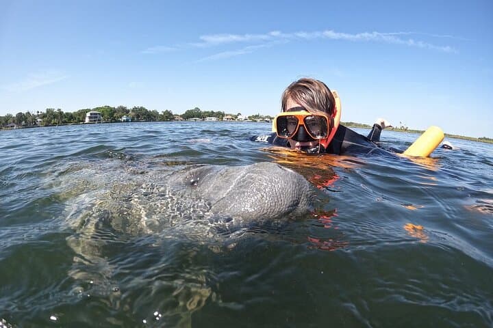 Classic Crystal River Manatee Swim: Guided Snorkel with Free Photos photo 6