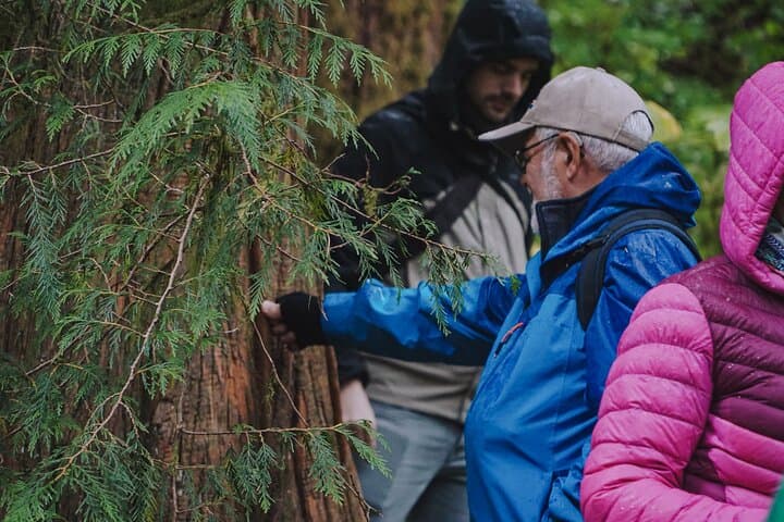 Exploring Ketchikan's Rainforest Sanctuary and Totem Park: An Immersive Alaska Wildlife Walk photo 6
