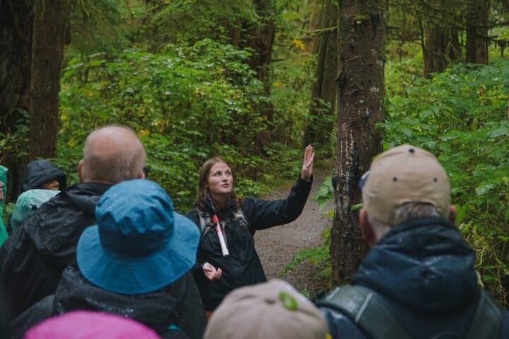 Exploring Ketchikan's Rainforest Sanctuary and Totem Park: An Immersive Alaska Wildlife Walk photo 3