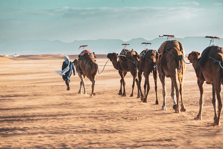 2-Day Zagora Desert Tour from Marrakech — Camel Trek, Aït Ben Haddou & Draa Valley