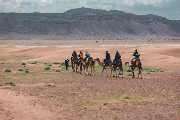 2-Day Zagora Desert Tour from Marrakech — Camel Trek, Aït Ben Haddou & Draa Valley photo 3