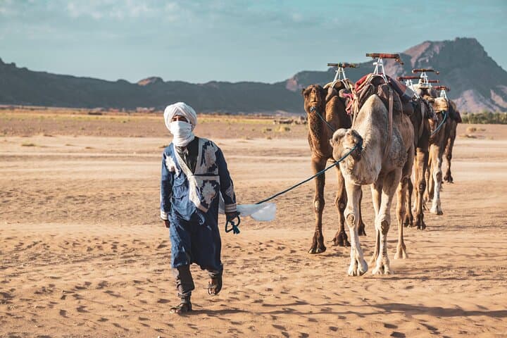 2-Day Zagora Desert Tour from Marrakech — Camel Trek, Aït Ben Haddou & Draa Valley photo 4
