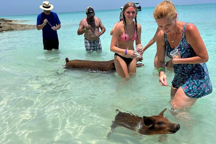 Rose Island Half-Day Powerboat: Snorkel Reefs, Turtles & Private Beach Club photo 1