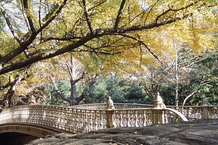 Official Central Park Walking Tour: Iconic Sights & 90-Minute History Walk photo 6