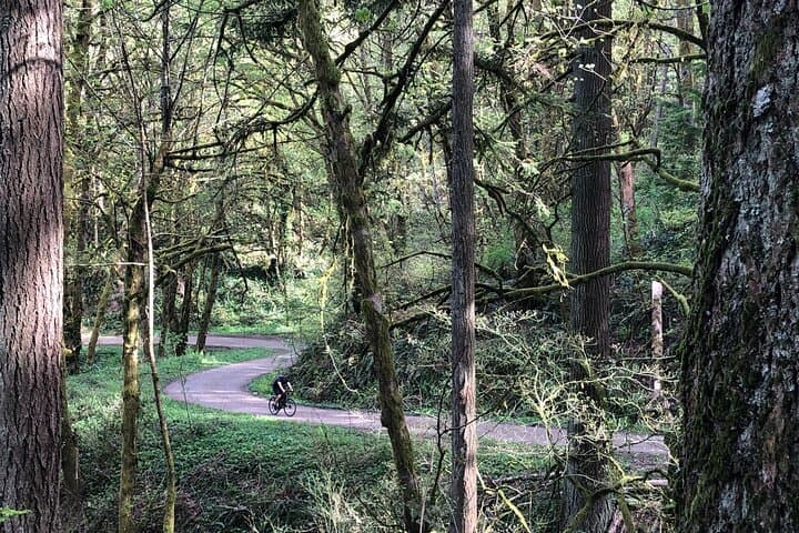 Forest Park Gravel Bike & E‑Bike Tour — Leif Erikson Trail to St. Johns Bridge