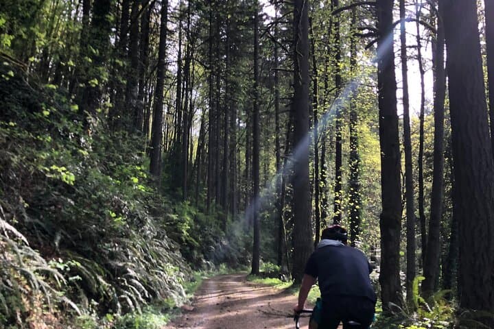 Forest Park Gravel Bike & E‑Bike Tour — Leif Erikson Trail to St. Johns Bridge photo 5