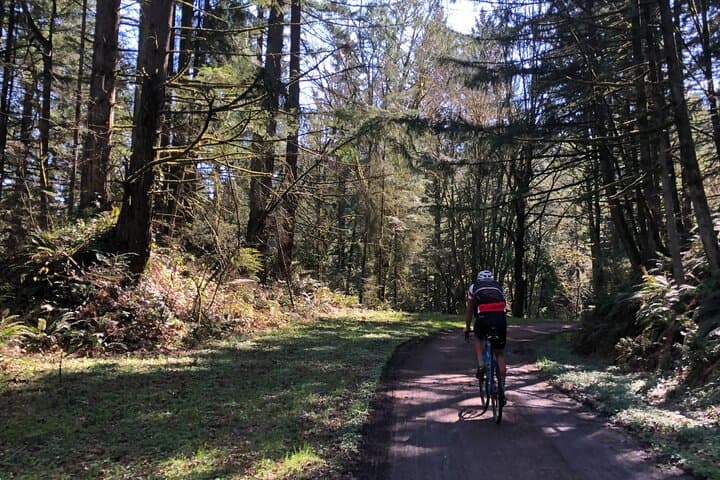 Forest Park Gravel Bike & E‑Bike Tour — Leif Erikson Trail to St. Johns Bridge photo 6