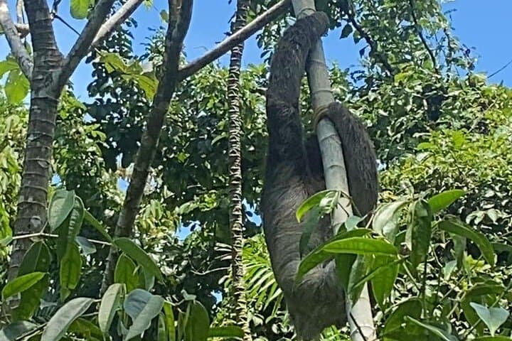 Private Transfer from SJO to La Fortuna — Comfortable Shuttle with Scenic Stops photo 5