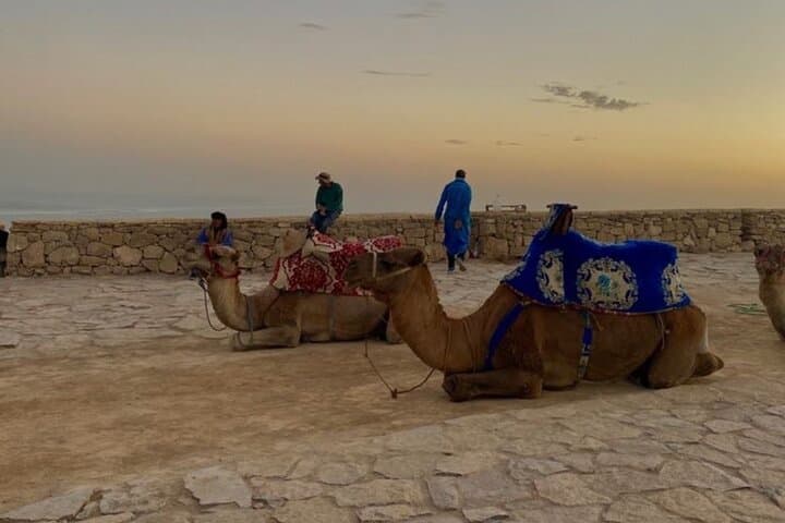 Agadir Highlights City Tour: Kasbah, Souk & Argan Oil Experience photo 5
