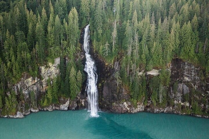 Toba Bears: Grizzly Viewing & Klahoose Wilderness Cruise from Campbell River photo 3