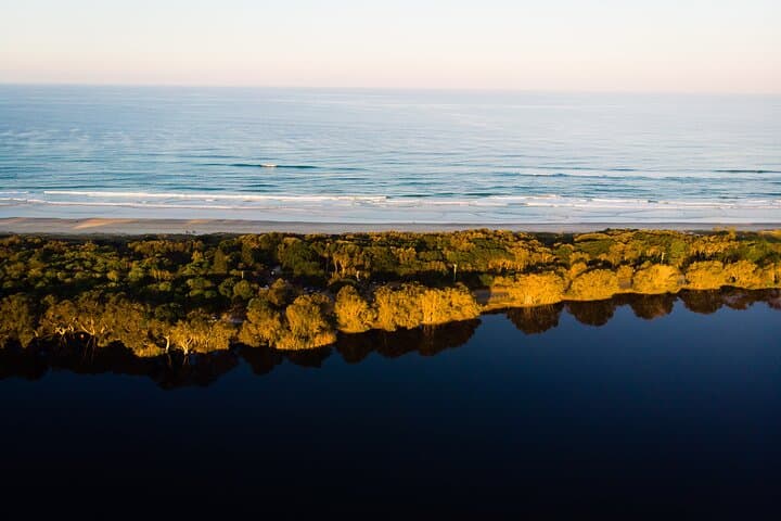 Byron Bay Half-Day Learn-to-Surf: Beginner Surf Lesson & Beach Tour photo 6