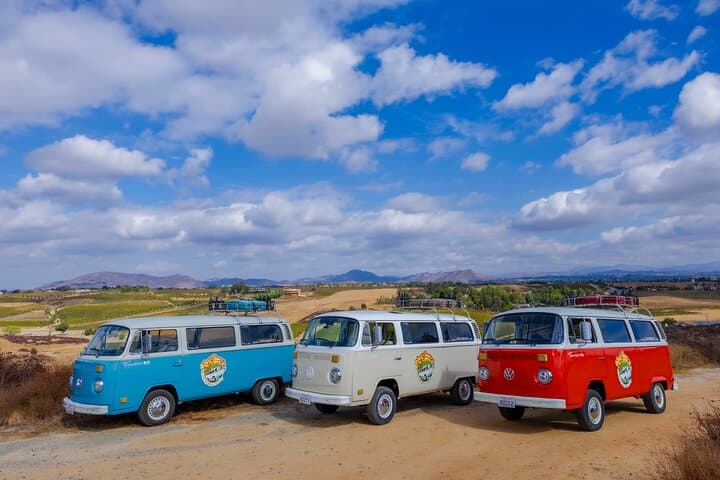 VW Bus Wine Tour in Temecula: Ultimate California Day-Drinking Experience