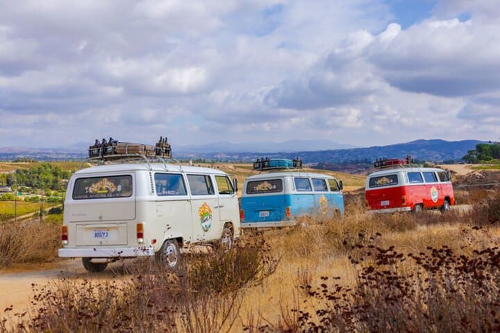 VW Bus Wine Tour in Temecula: Ultimate California Day-Drinking Experience photo 3