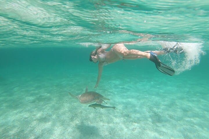 Catamaran to Pig Beach: Snorkel Turtles, Pigs & Lunch from Nassau photo 5