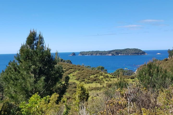 Cathedral Cove & Hot Water Beach Day Tour — Coromandel Coastal Walk and Geothermal Sands photo 4
