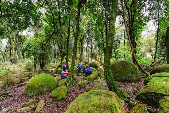 Boulders Scenic Half-Day Float on the Rangitikei River — Whitecliffs Lunch Drift